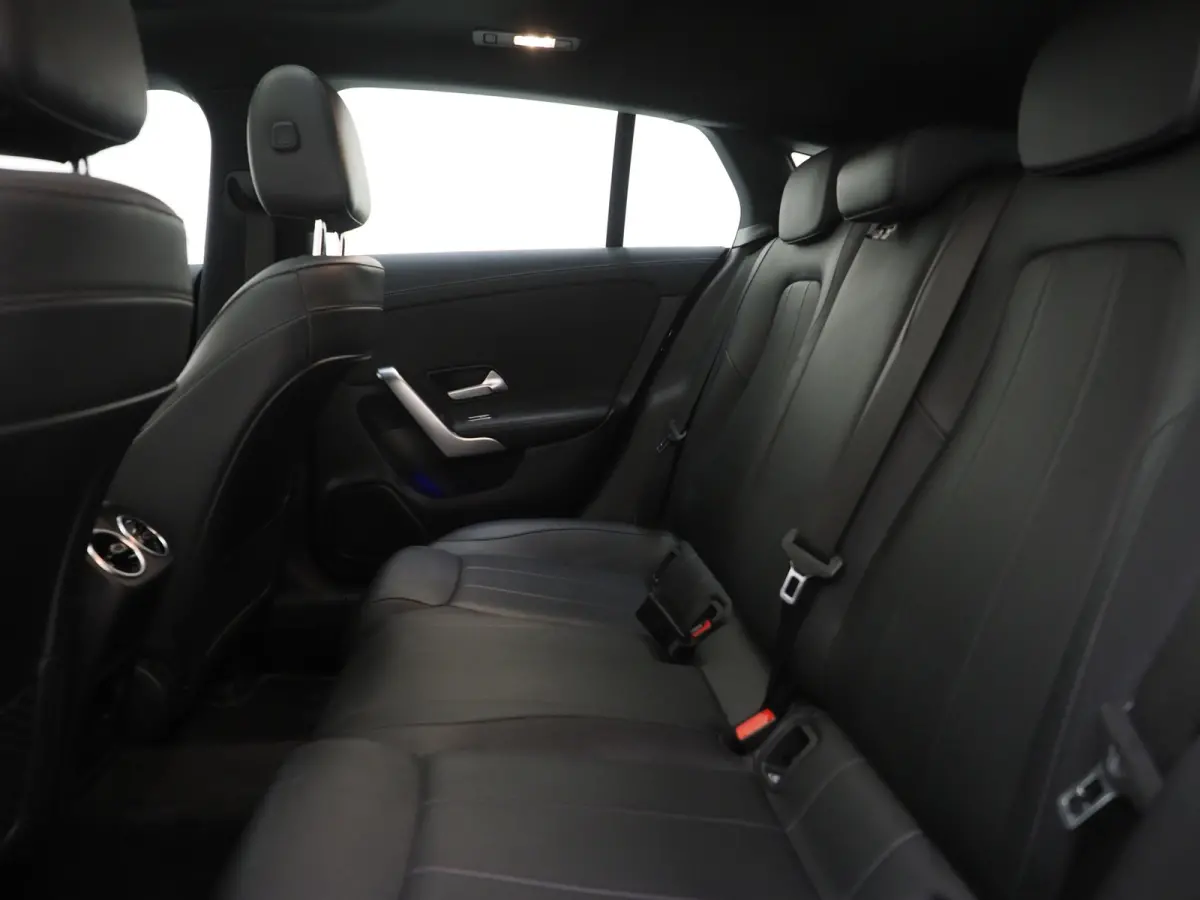 250e Premium | Panoramadak | Leder | Trekhaak | Camera | Sfeerlicht | Carbon | Cruise | LED