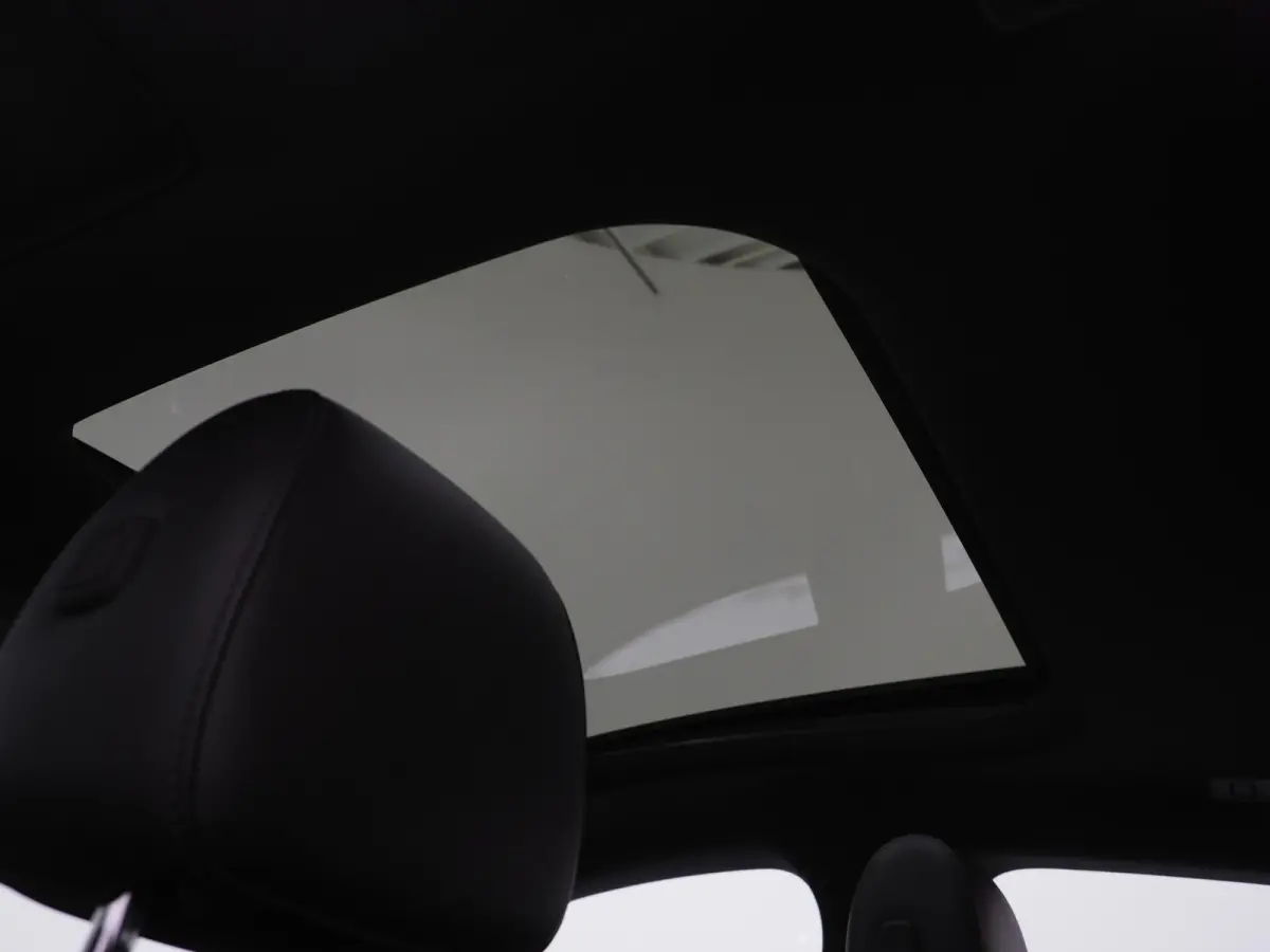 250e Premium | Panoramadak | Leder | Trekhaak | Camera | Sfeerlicht | Carbon | Cruise | LED