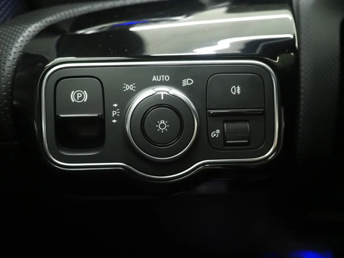 250e Premium | Panoramadak | Leder | Trekhaak | Camera | Sfeerlicht | Carbon | Cruise | LED