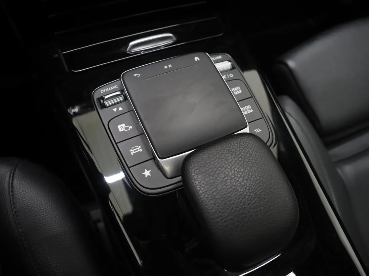250e Premium | Panoramadak | Leder | Trekhaak | Camera | Sfeerlicht | Carbon | Cruise | LED