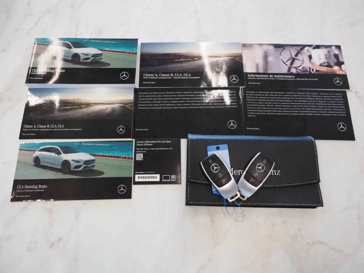 250e Premium | Panoramadak | Leder | Trekhaak | Camera | Sfeerlicht | Carbon | Cruise | LED