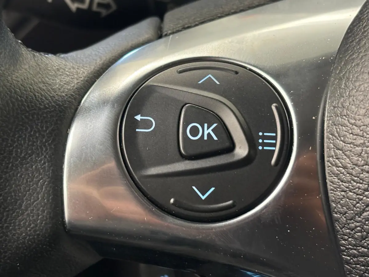 1.5 EcoBlue L1 Trend Automaat Airco Cruise Control Camera Parkeersensoren
