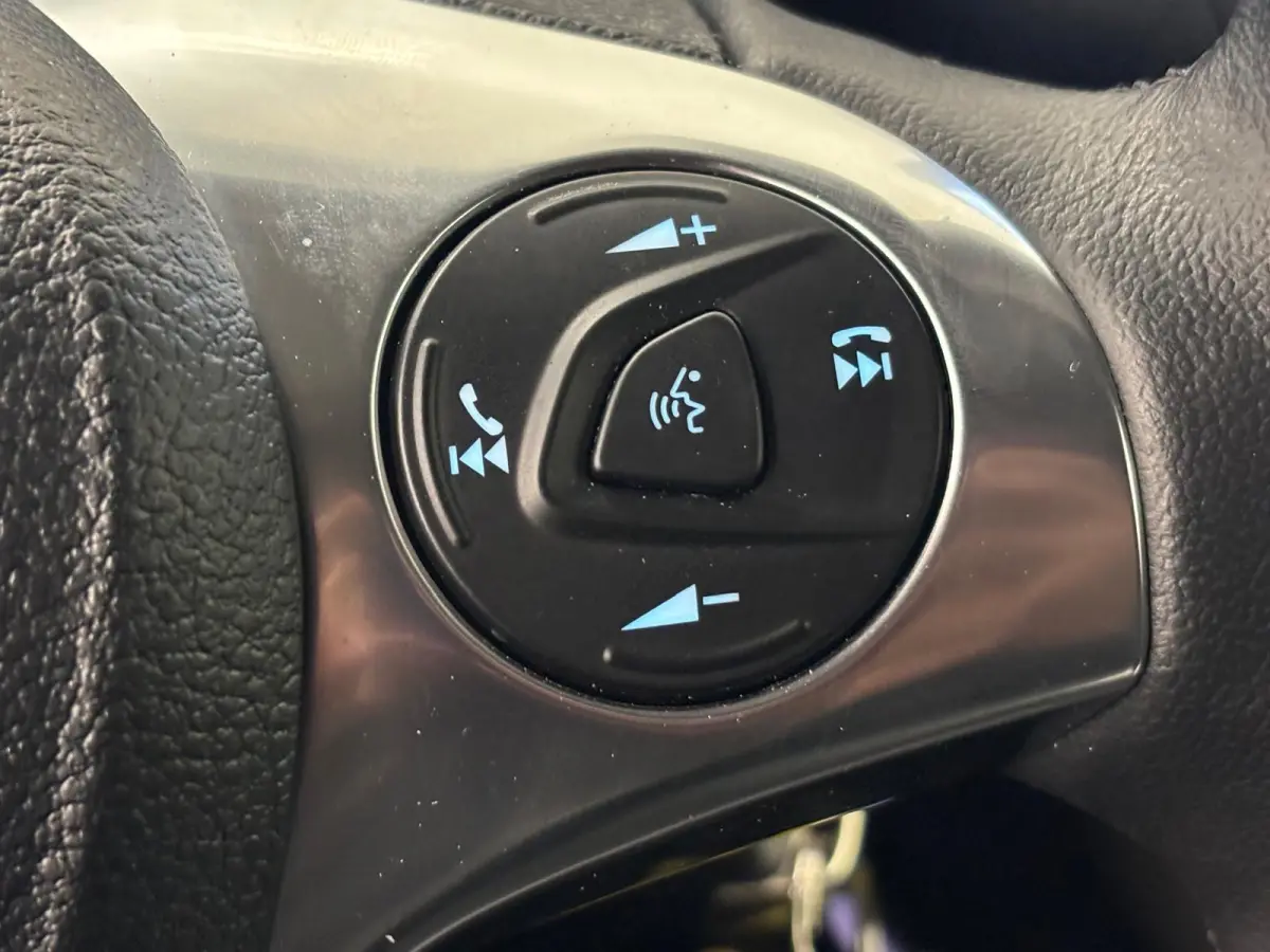 1.5 EcoBlue L1 Trend Automaat Airco Cruise Control Camera Parkeersensoren