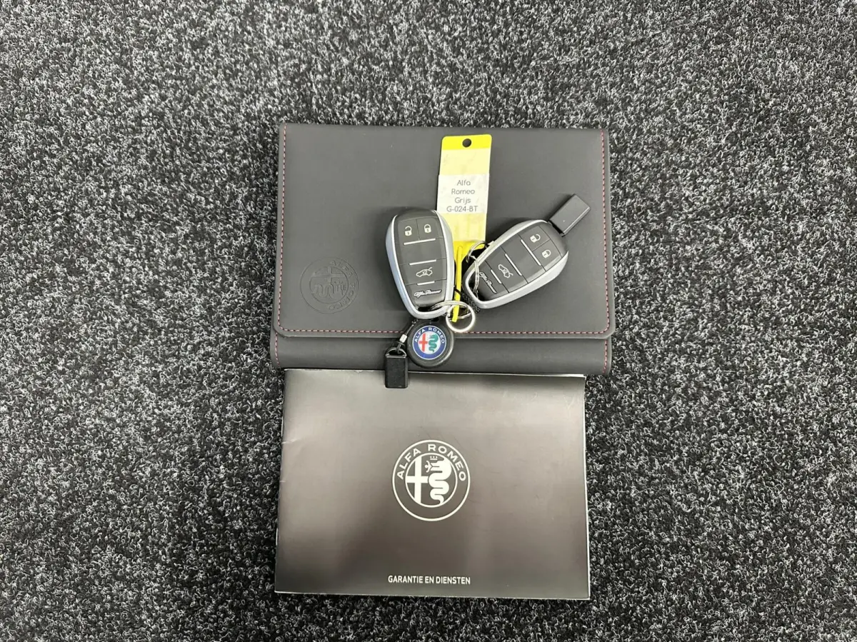 2.0 T AWD TREKHAAK LEER NAVI CRUISE ECC.