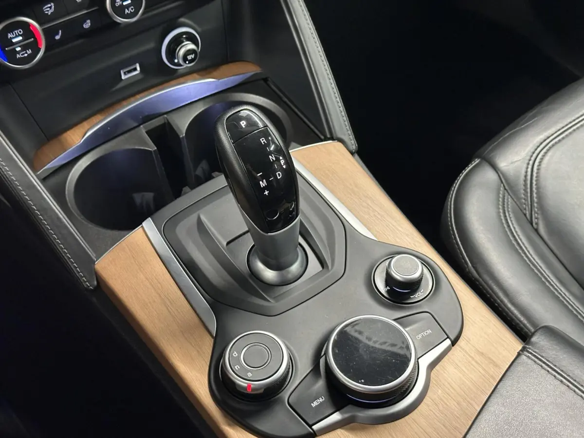 2.0 T AWD TREKHAAK LEER NAVI CRUISE ECC.