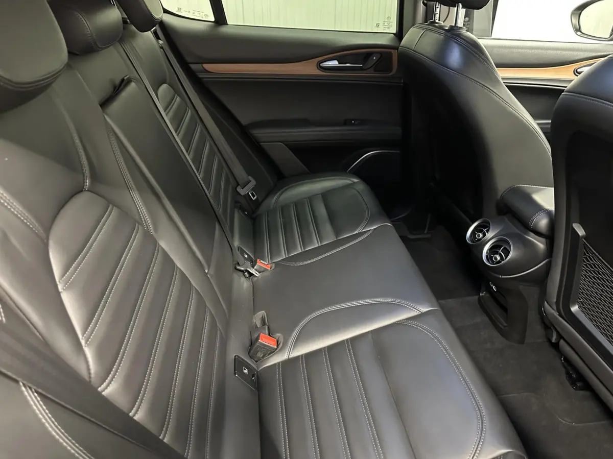 2.0 T AWD TREKHAAK LEER NAVI CRUISE ECC.