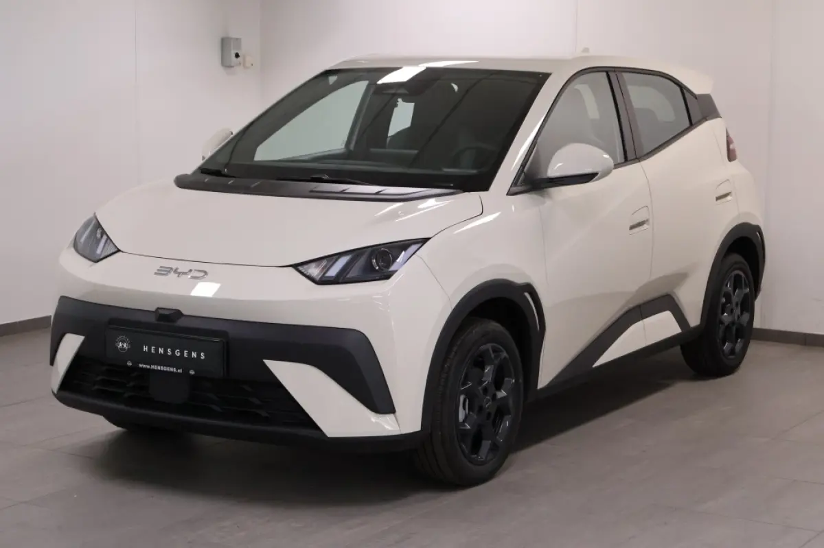 BYD Dolphin Surf leasen