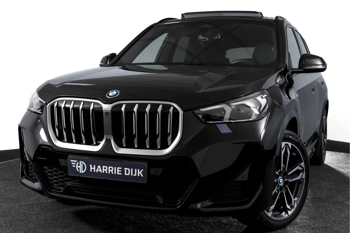 xDrive25e 245 PK | M-Sport | Premium Pack | S/K-Panodak | Elek. Trekhaak | Dig. Cockpit | Cruise | Stoelverw. | PDC | Camera | NAV+App. Connect | ECC | Elek. Klep | LM 19" | 2845