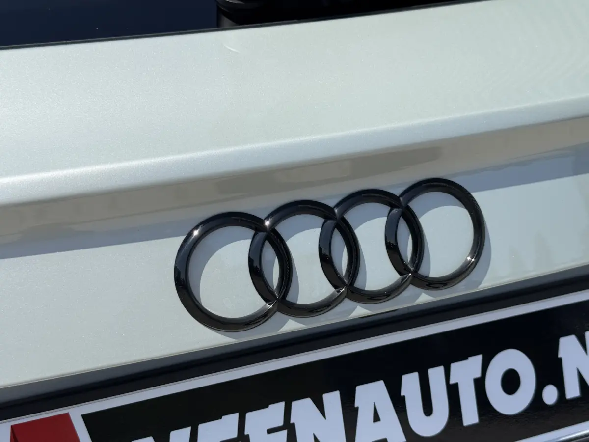 45 TFSI e S-LINE Matrix/Leder/Camera/Apple