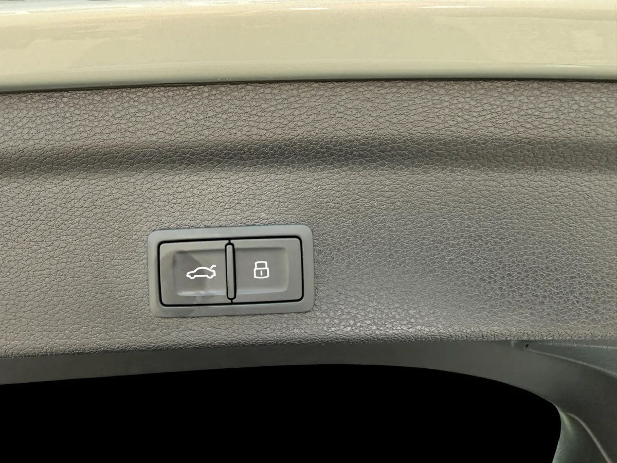 45 TFSI e S-LINE Matrix/Leder/Camera/Apple