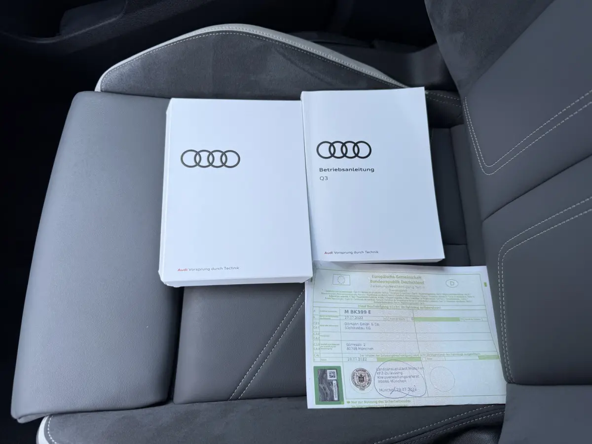 45 TFSI e S-LINE Matrix/Leder/Camera/Apple