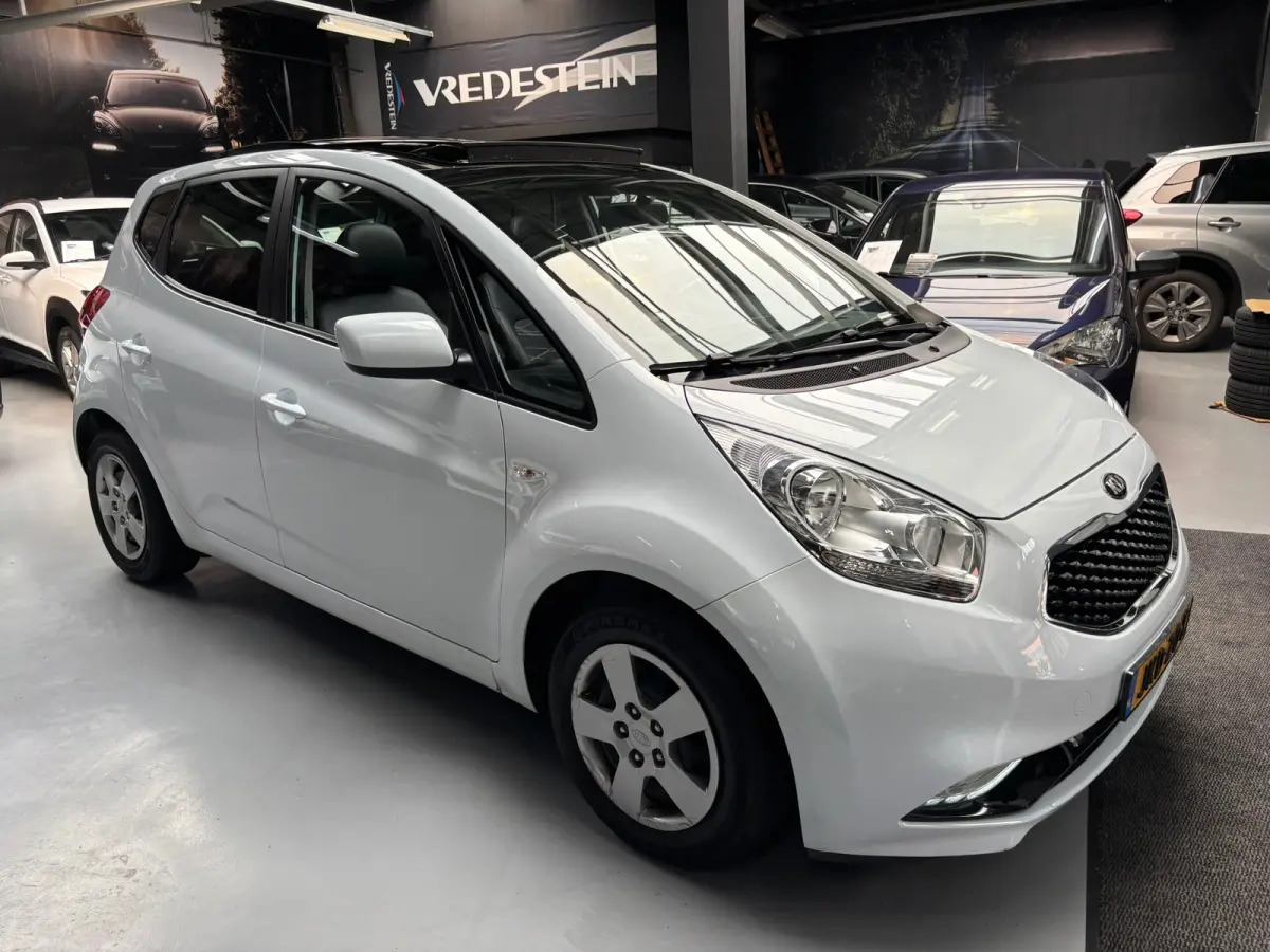 1.4 CVVT DynamicLine /Panorama Dak / Camera
