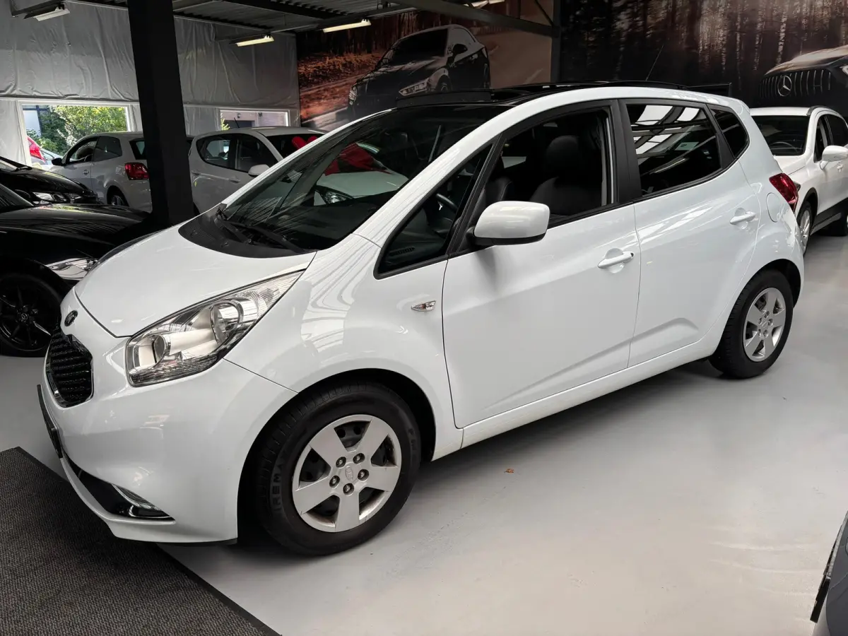 1.4 CVVT DynamicLine /Panorama Dak / Camera