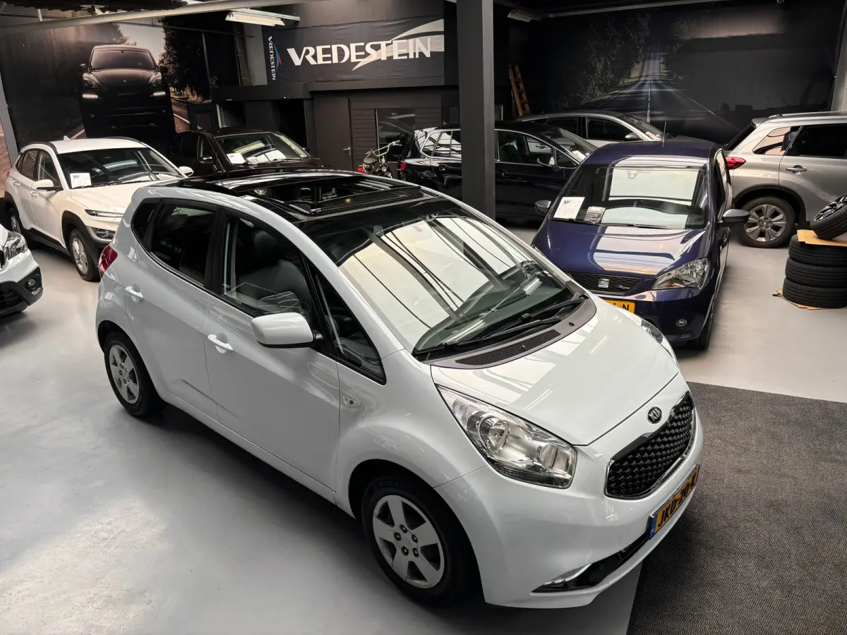 1.4 CVVT DynamicLine /Panorama Dak / Camera