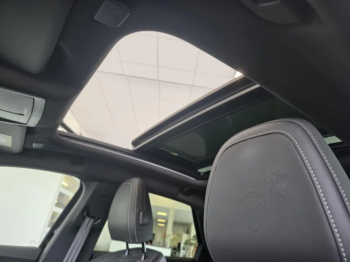 Launch Edition 325 Dual Motor 73 kWh | Warmtepomp | Schuif/kanteldak | Stoel verwarming & ventilatie |