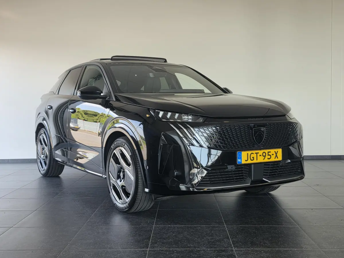 Launch Edition 325 Dual Motor 73 kWh | Warmtepomp | Schuif/kanteldak | Stoel verwarming & ventilatie |