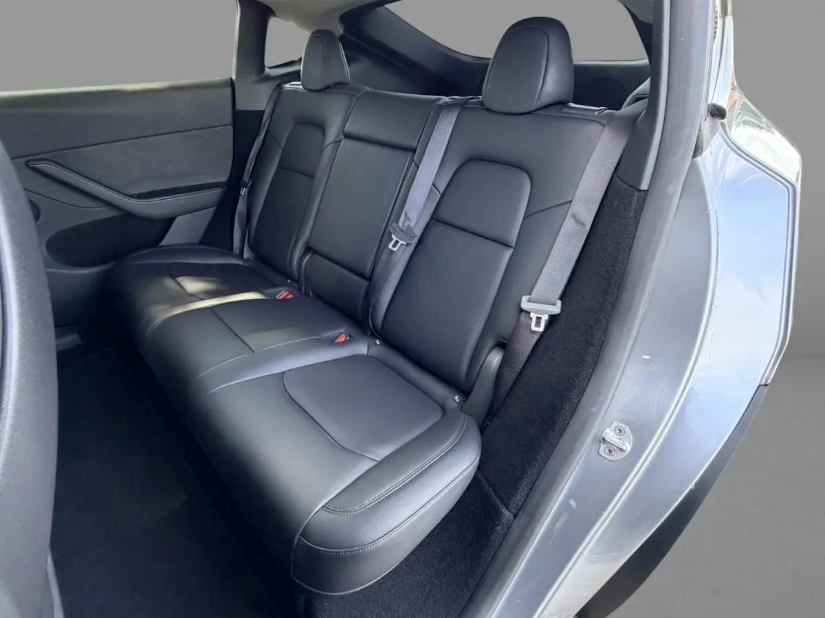 Long Range AWD 75 kWh SoH 92,1% / Originele Trekhaak / PREMIUM-Pakket / Autopilot /