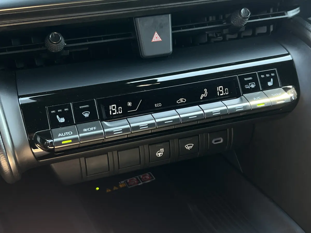 2.0 Plug-in Hybrid 220 First Edition | ACC | Premium LED | Camera | Dodehoek