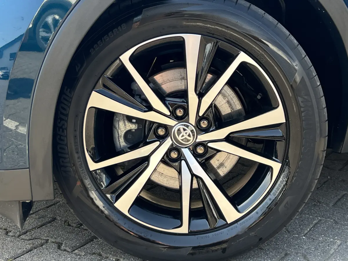 2.0 Plug-in Hybrid 220 First Edition | ACC | Premium LED | Camera | Dodehoek