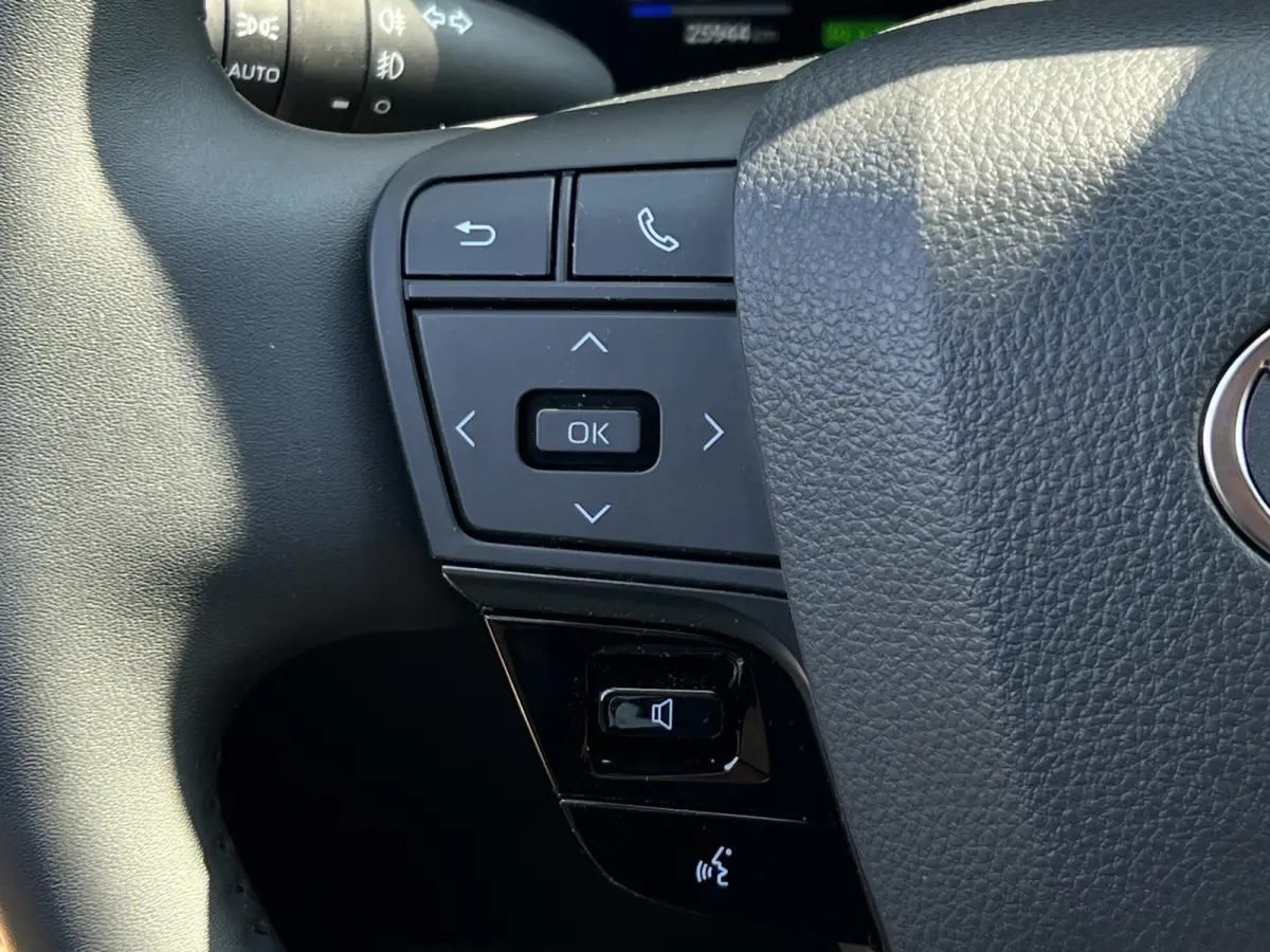 2.0 Plug-in Hybrid 220 First Edition | ACC | Premium LED | Camera | Dodehoek