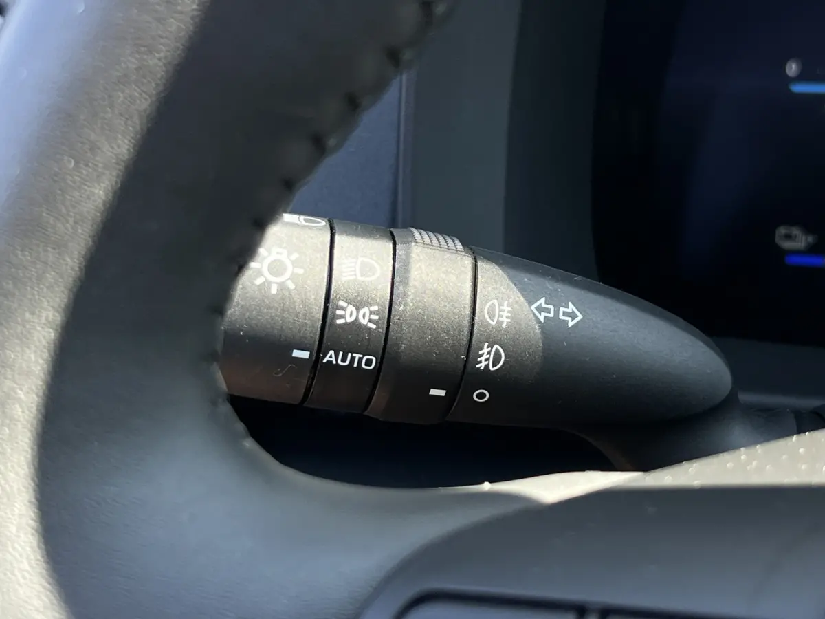 2.0 Plug-in Hybrid 220 First Edition | ACC | Premium LED | Camera | Dodehoek