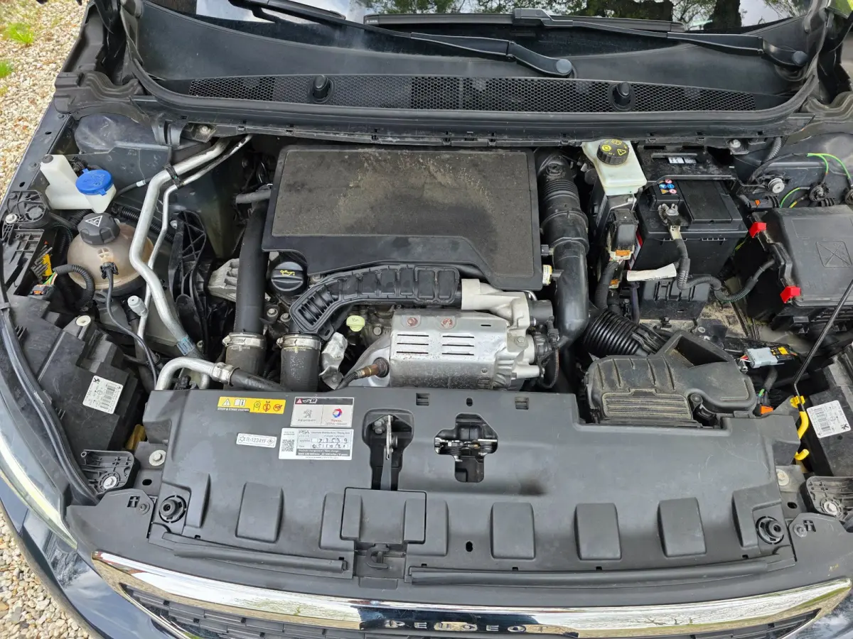 1.2 PureTech Blue Lease Executive