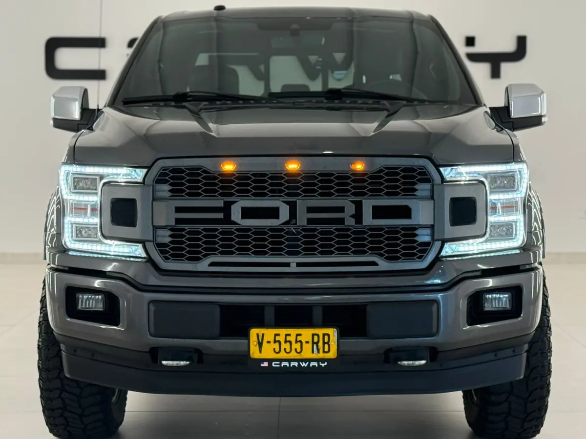 USA F-150 3.5 V6 Ecoboost Platinum NL-auto BPM vrij