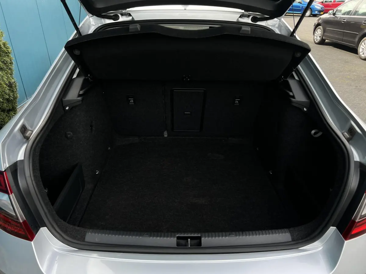 1.0 TSI Greentech Ambition Business CARPLAY/ANDROID | STOELVERW | CRUISE | NAV | PDC | DAB