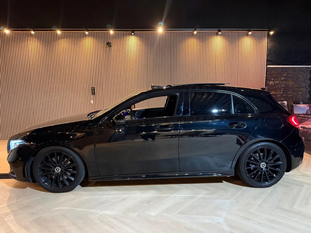 220 AMG | Sfeerverlichting | Pano | Night-pakket