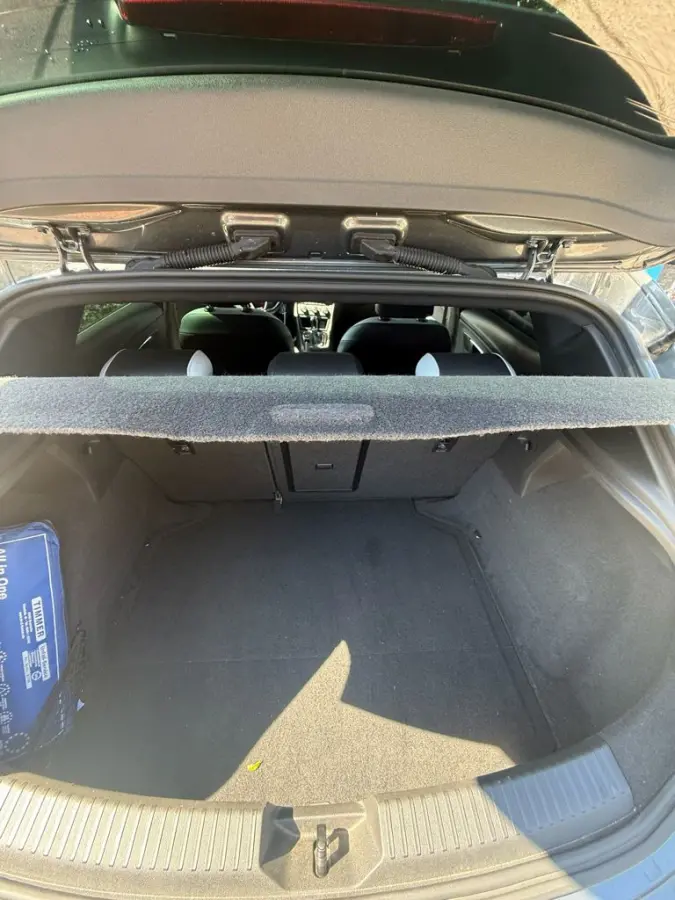 2.0 TSI Cupra 290 Connect