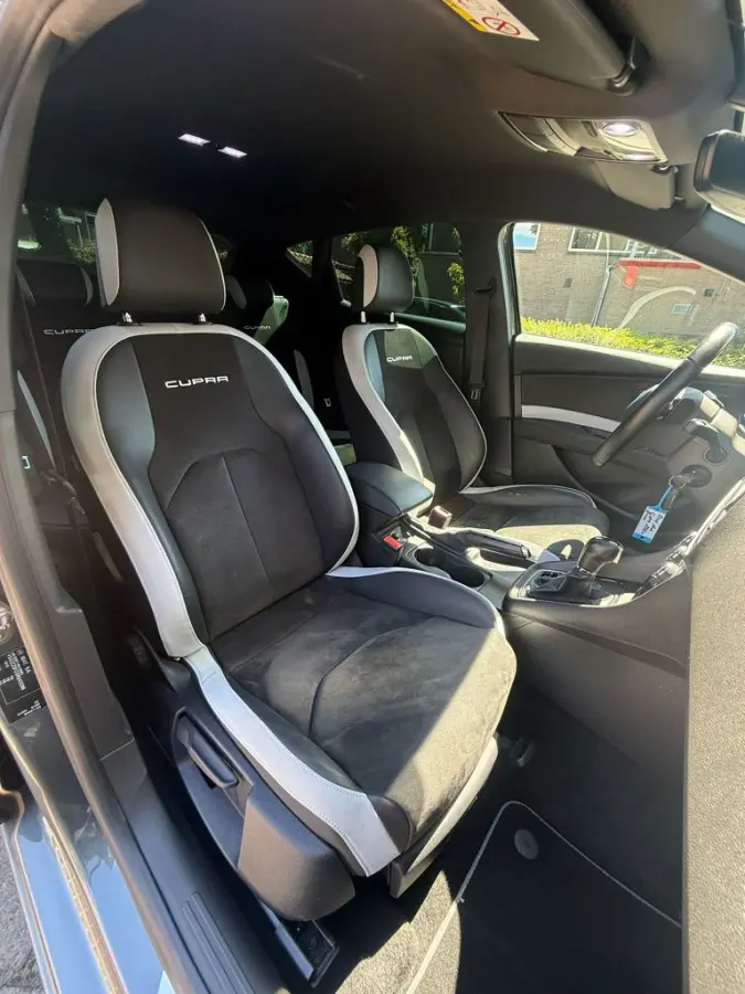 2.0 TSI Cupra 290 Connect