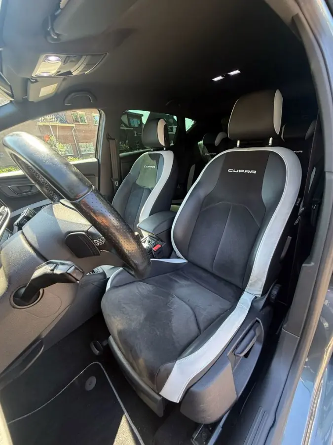 2.0 TSI Cupra 290 Connect