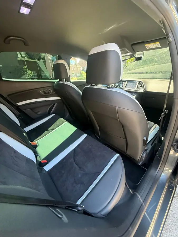 2.0 TSI Cupra 290 Connect
