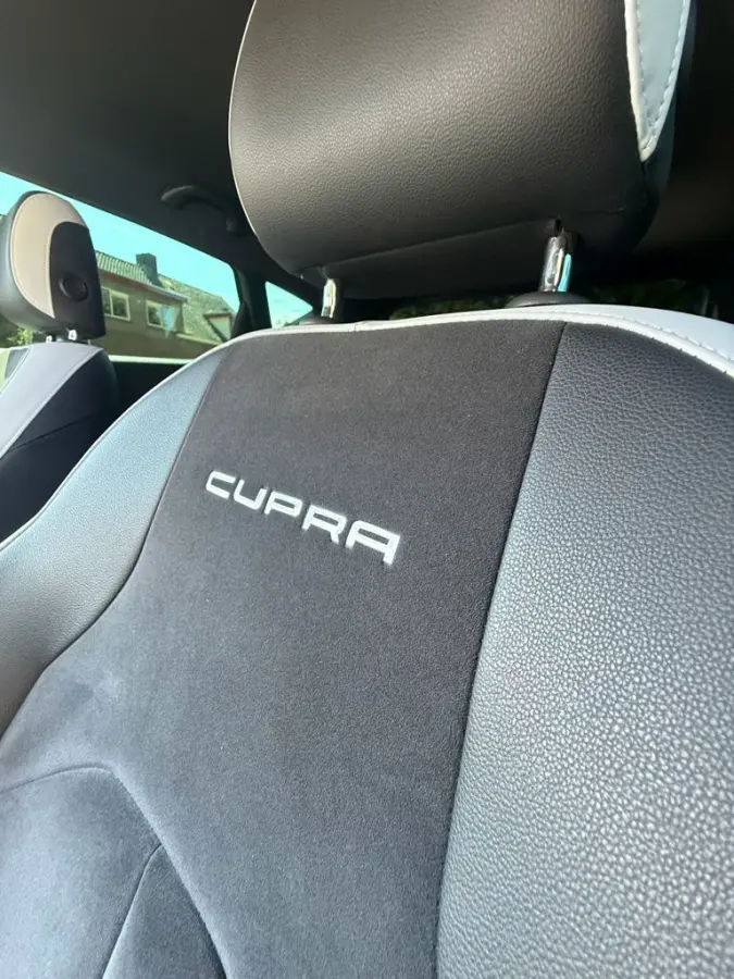 2.0 TSI Cupra 290 Connect