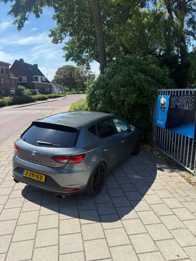 2.0 TSI Cupra 290 Connect