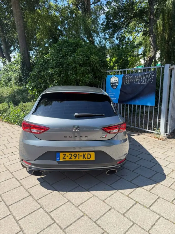 2.0 TSI Cupra 290 Connect