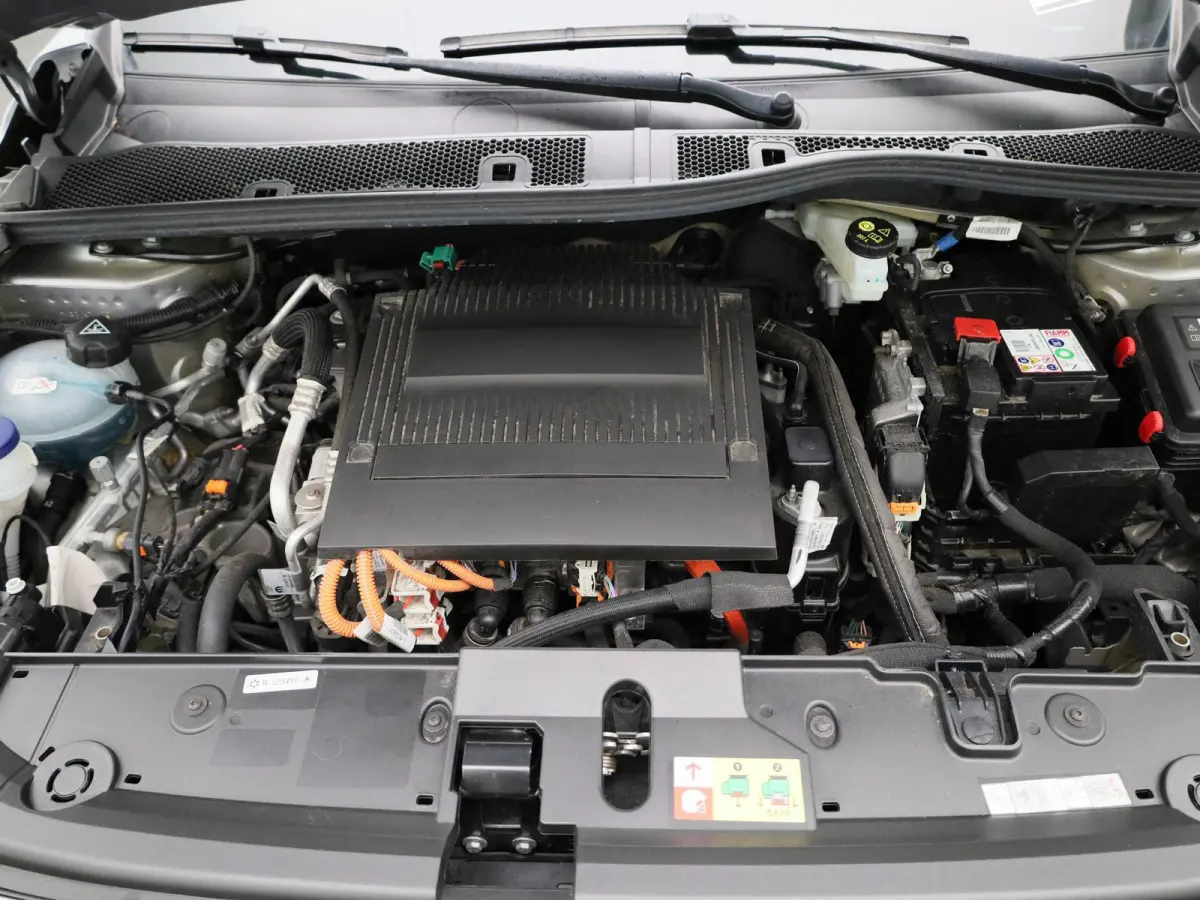 EV Active Pack 50 kWh | NAVIGATIE | PARKEERSENSOREN | LED