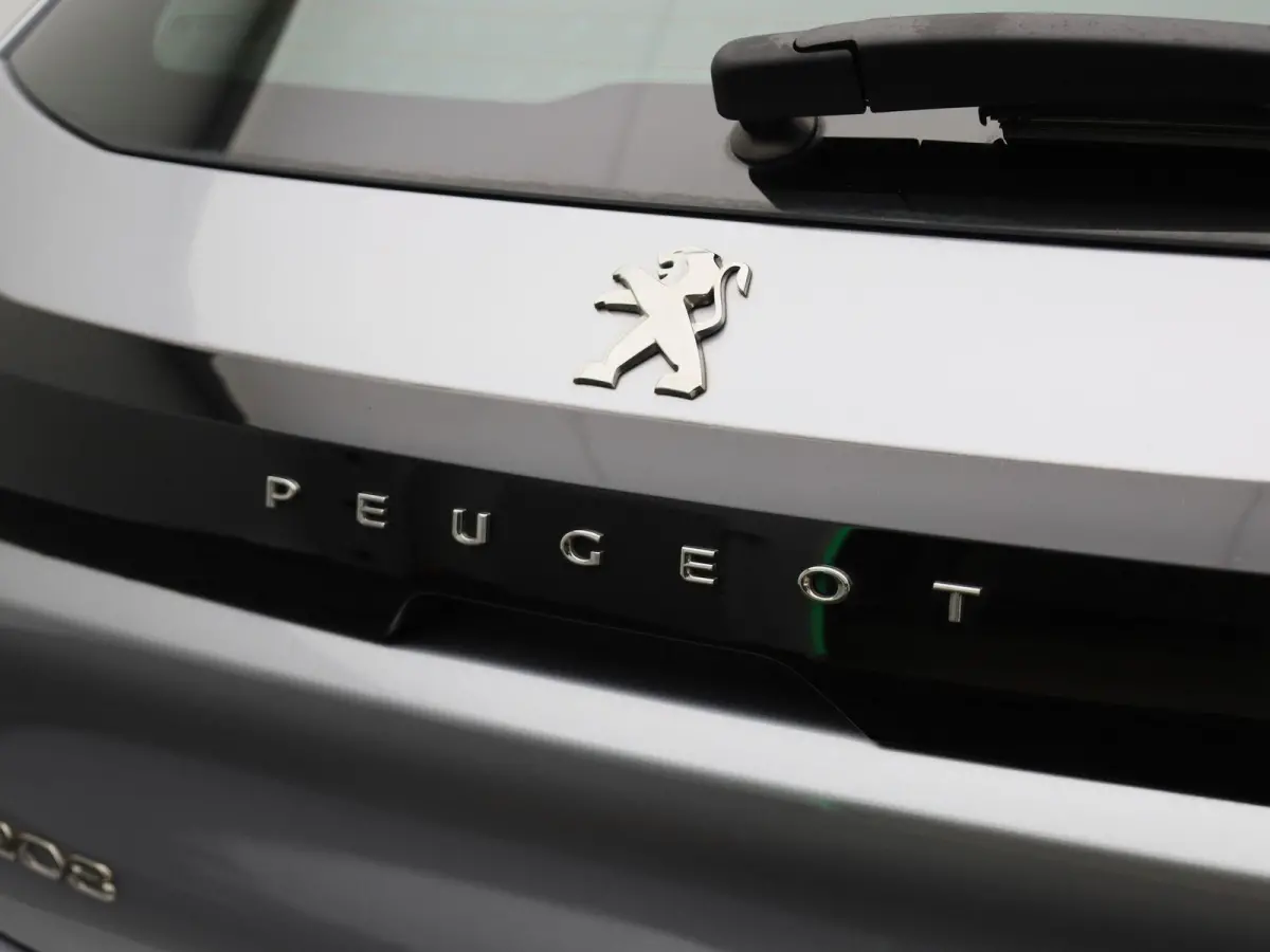 EV Active Pack 50 kWh | NAVIGATIE | PARKEERSENSOREN | LED