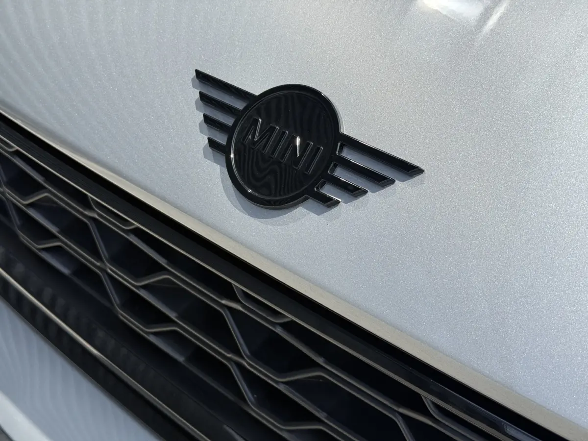 2.0 Cooper SE ALL4 Pano/H&K/Leder/Camera