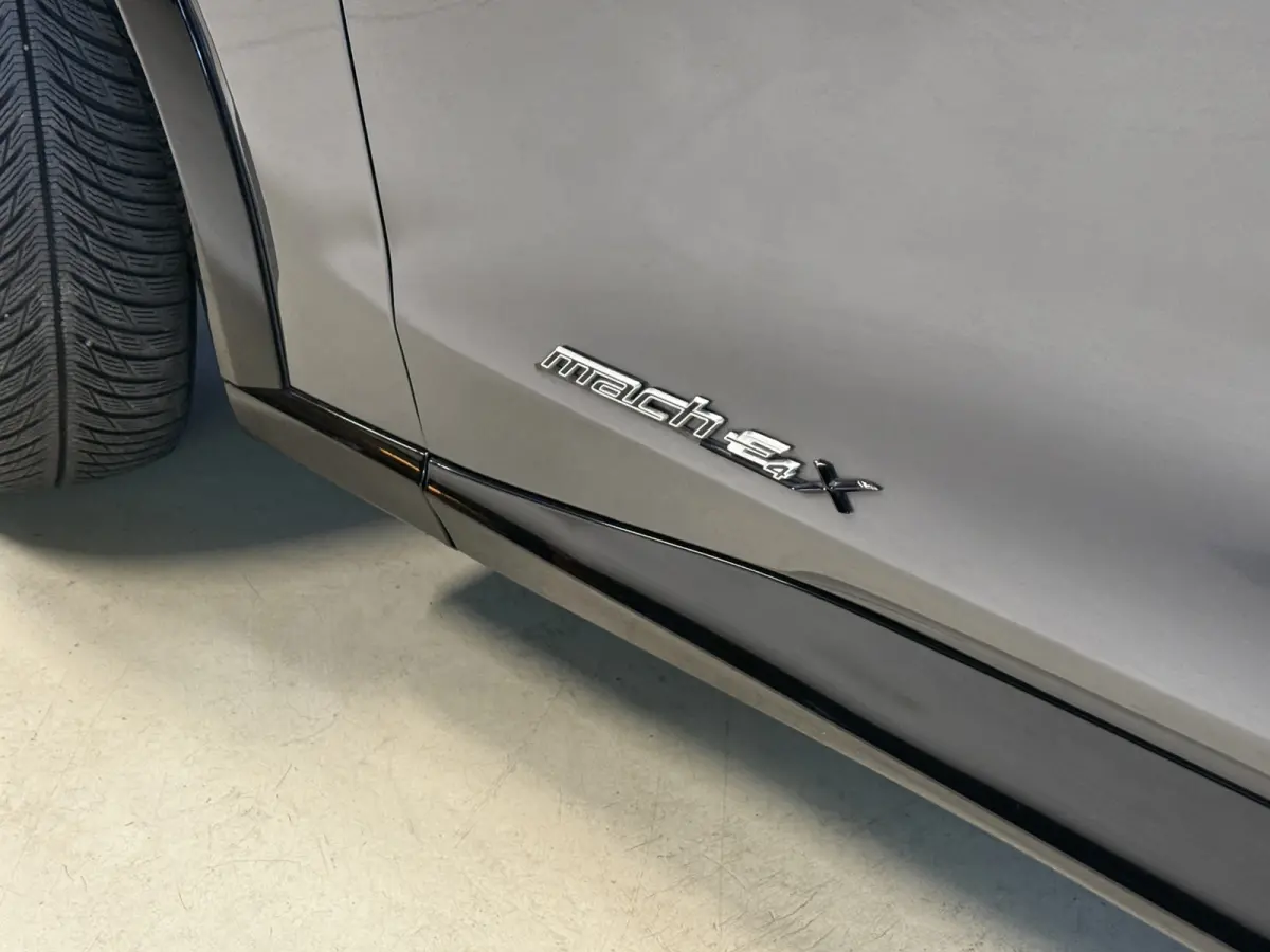 Extended AWD 98 kWh | SOH 92.5% | Panoramadak | B&O | 360 Camera