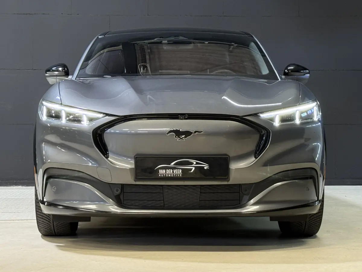 Extended AWD 98 kWh | SOH 92.5% | Panoramadak | B&O | 360 Camera