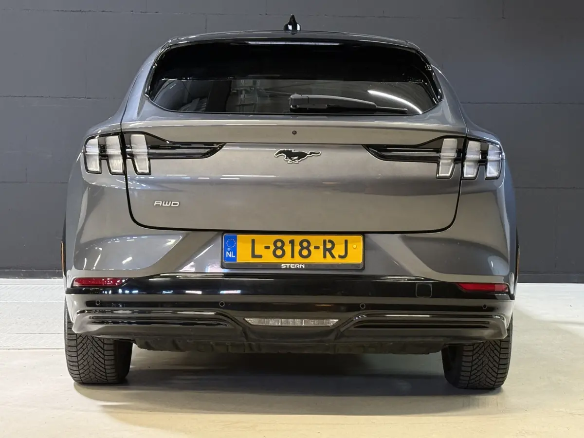 Extended AWD 98 kWh | SOH 92.5% | Panoramadak | B&O | 360 Camera