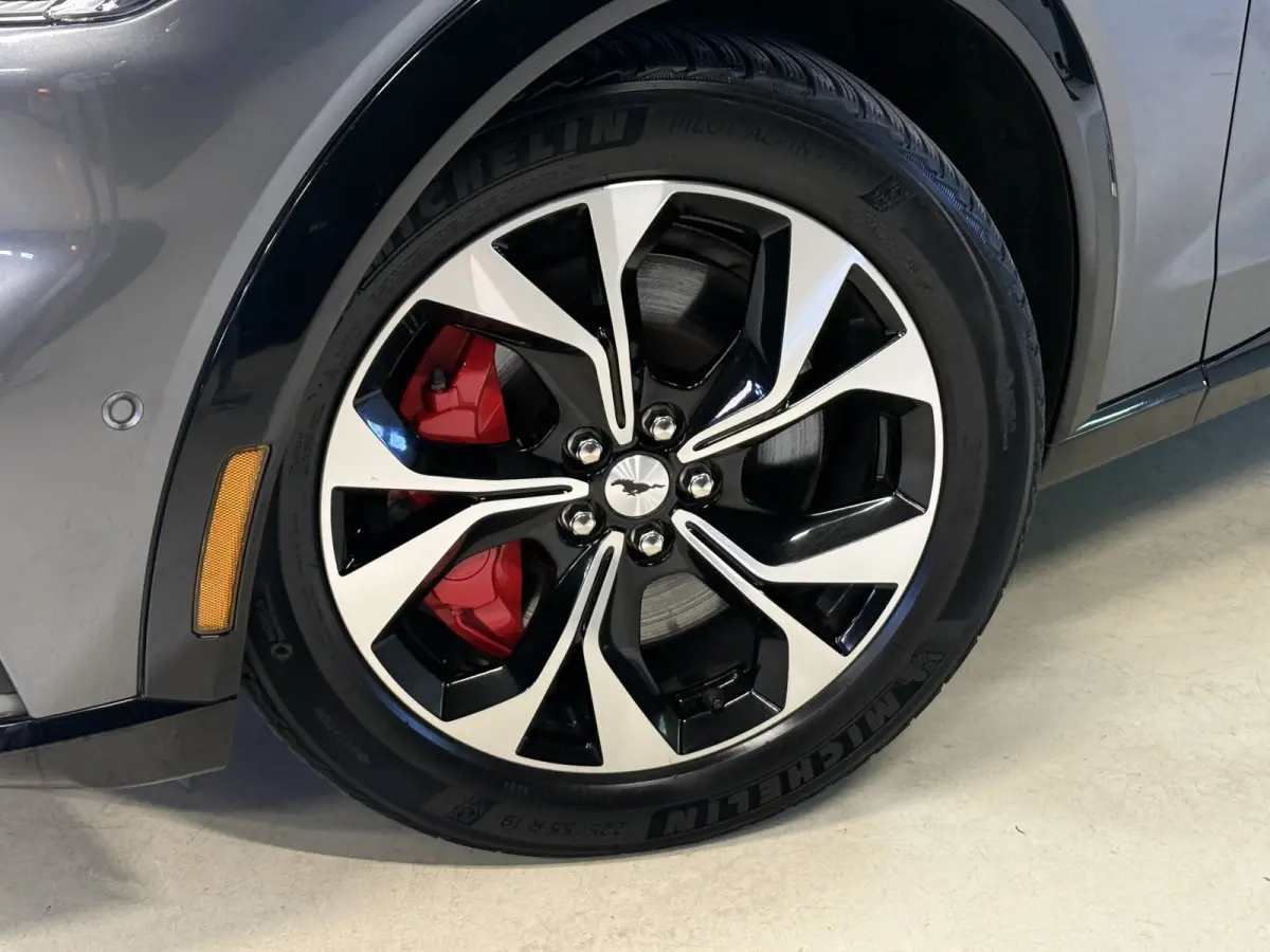 Extended AWD 98 kWh | SOH 92.5% | Panoramadak | B&O | 360 Camera
