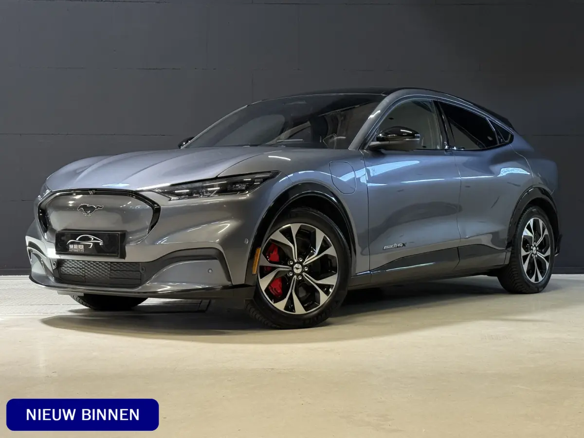 Extended AWD 98 kWh | SOH 92.5% | Panoramadak | B&O | 360 Camera