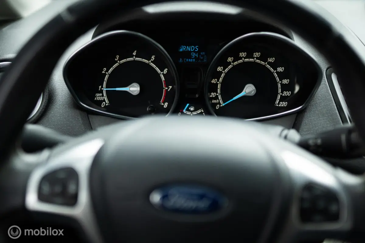 1.0 EcoBoost | AUTOMAAT | Cruise control | LMV