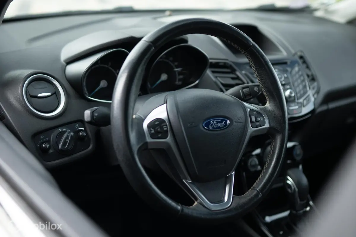 1.0 EcoBoost | AUTOMAAT | Cruise control | LMV