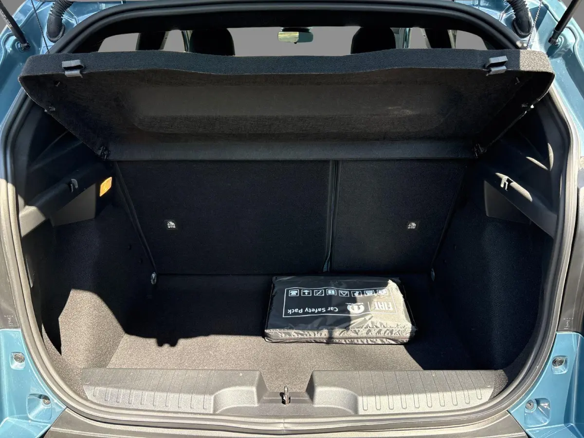 1.2 Hybrid ICON | Apple carplay/Android Auto| LMV 16" | Airco | Parkeersensoren | Dakrails |