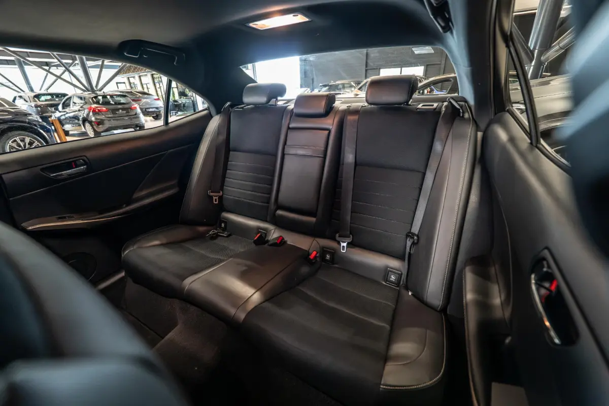300h Hybrid F-Sport Line Schuifdak | Stoelverwarming