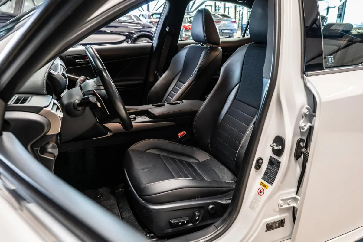 300h Hybrid F-Sport Line Schuifdak | Stoelverwarming