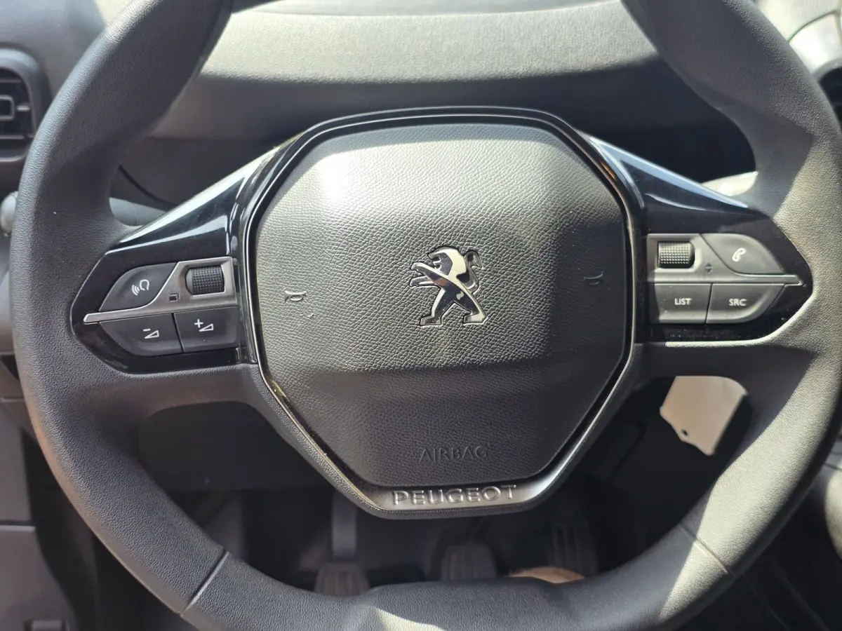 1.5 BlueHDI Premium / 1e EIGENAAR / CAMERA / CRUISE / NAVI
